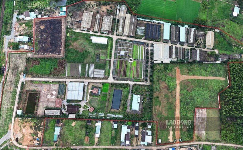 Land of the VietGap Safety Vegetable Production Project in Canh Vinh Commune (Van Canh District, Binh Dinh). Photo: Tue Lam