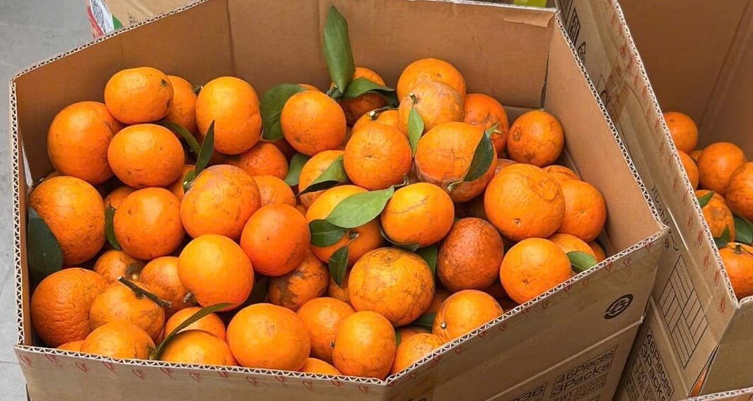 You should choose sim tangerine according to the instructions to ensure quality and health. Photo: Kieu Vu