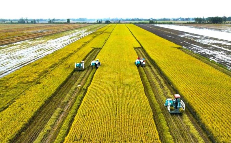 positioning the rice brand requires cross-sectoral approach and cross-sectoral coordination.
