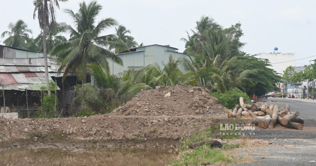 Due to land clearance problems, the D5 road project phase 2 in Ben Tre is under construction. Photo: Thanh Nhan