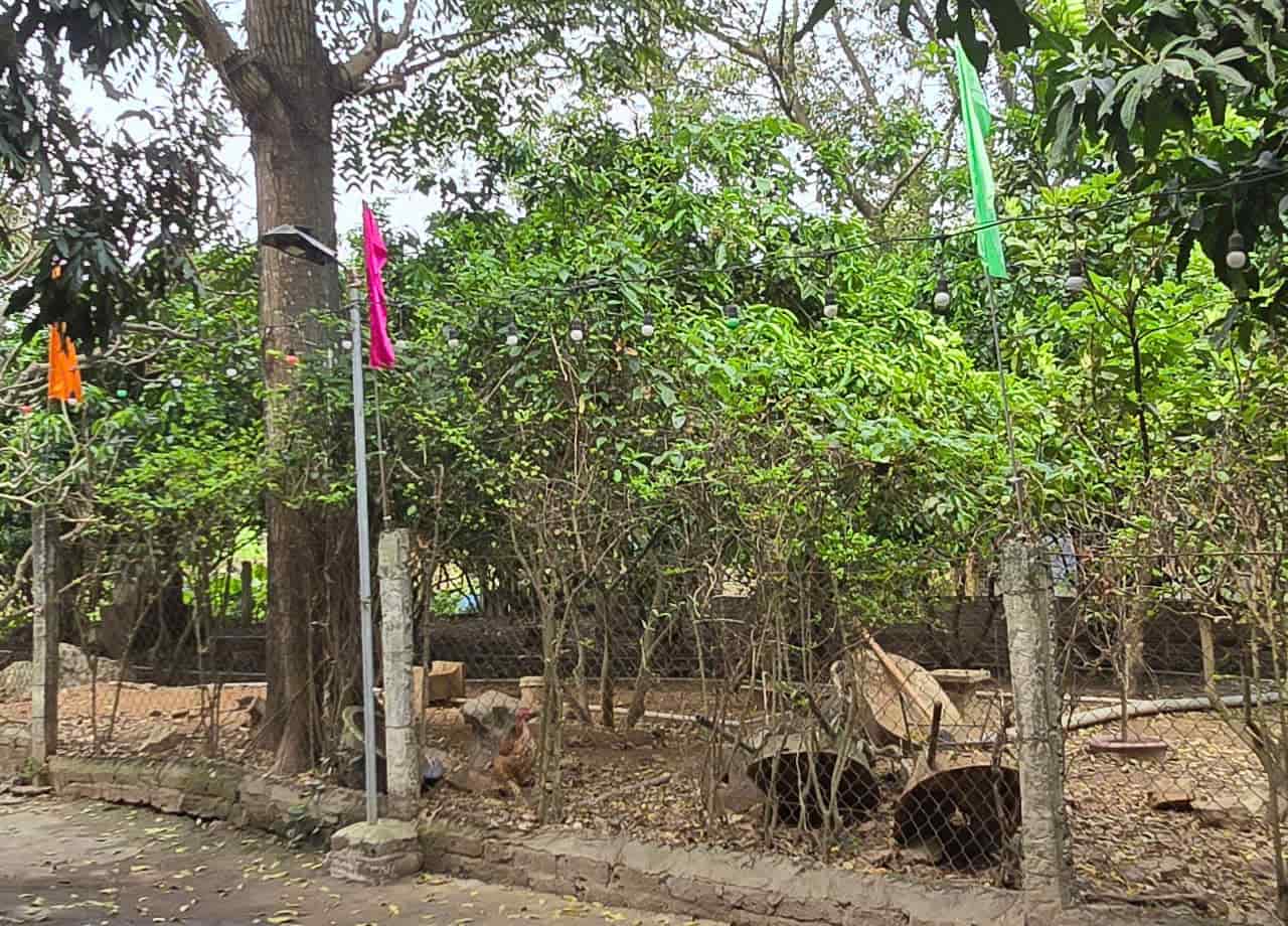 Mot phan dien tich trong khuon vien nui Canh Dieu bi nguoi dan rao lai de chan nuoi va trong cay. Anh: Nguyen Truong