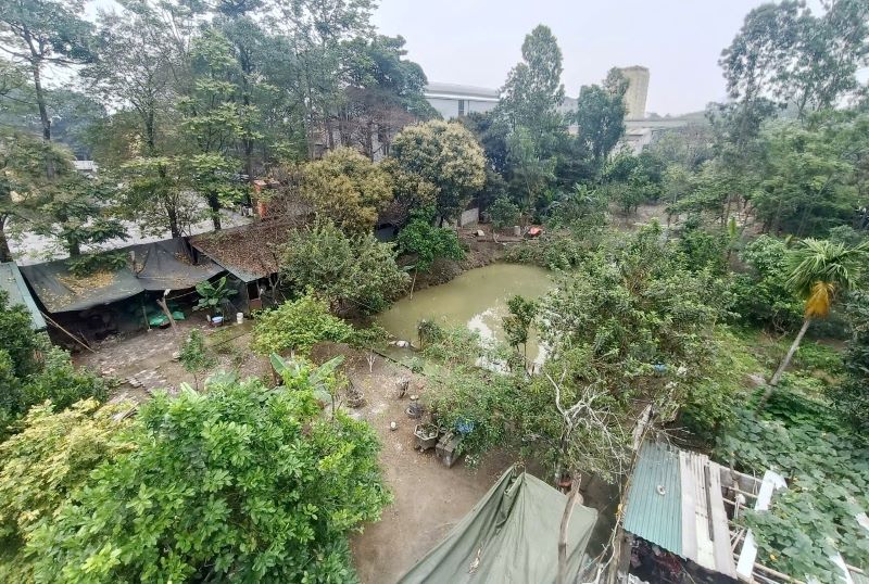 Người dân bức xúc vì gia trại của một hộ gia đình gây ô nhiễm mùi giữa lòng thành phố Thanh Hóa. Ảnh: Quách Du