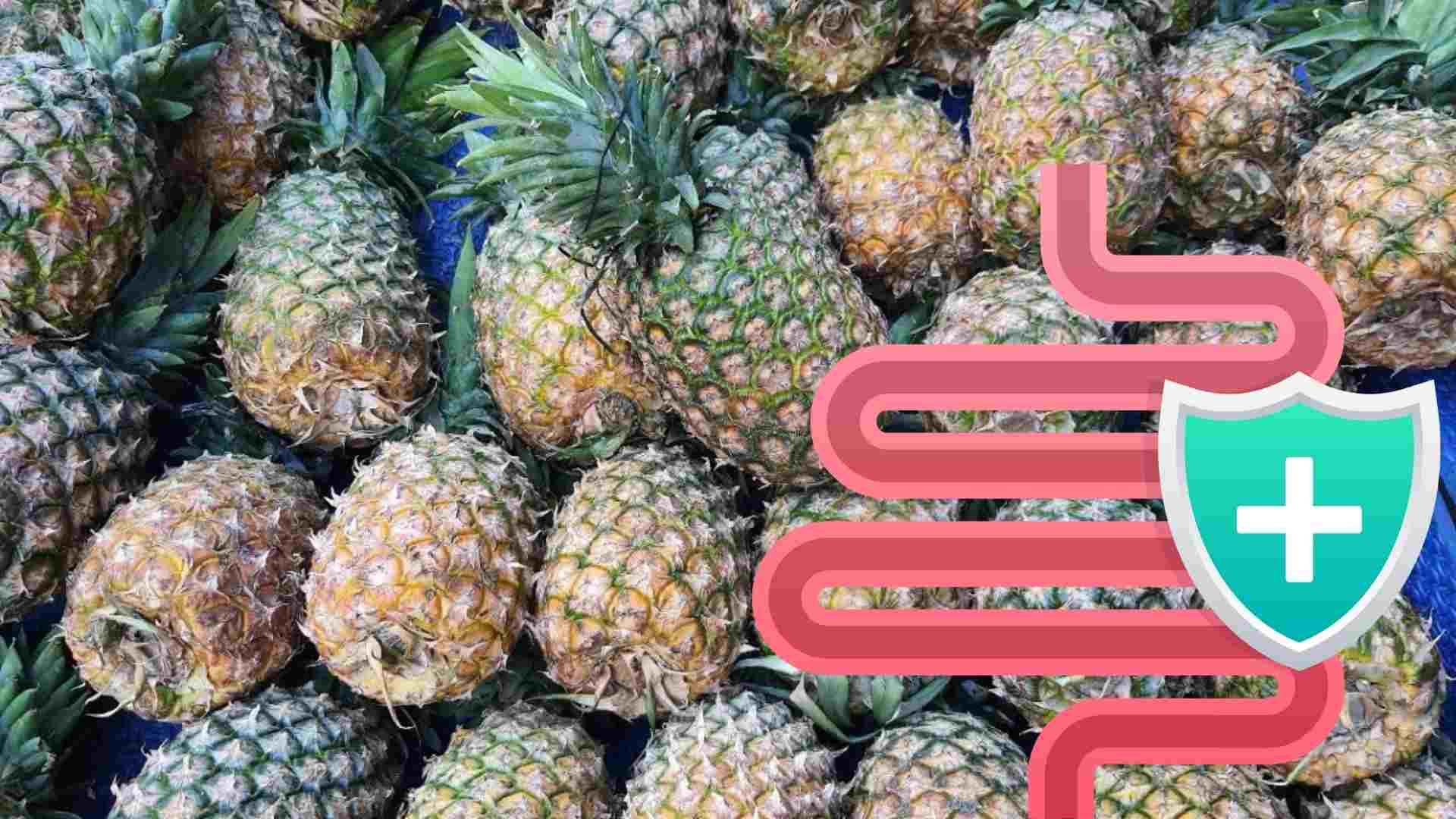 Algunos alimentos contienen enzimas buenas para el sistema digestivo. Imagen: Bajo las nubes