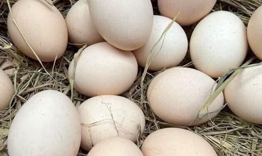 Trứng được cho là tốt cho trẻ nhưng phụ thuộc vào tần suất ăn. Ảnh: Kiều Vũ
