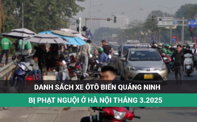List of Quang Ninh beach cars fined in Hanoi in March 2025