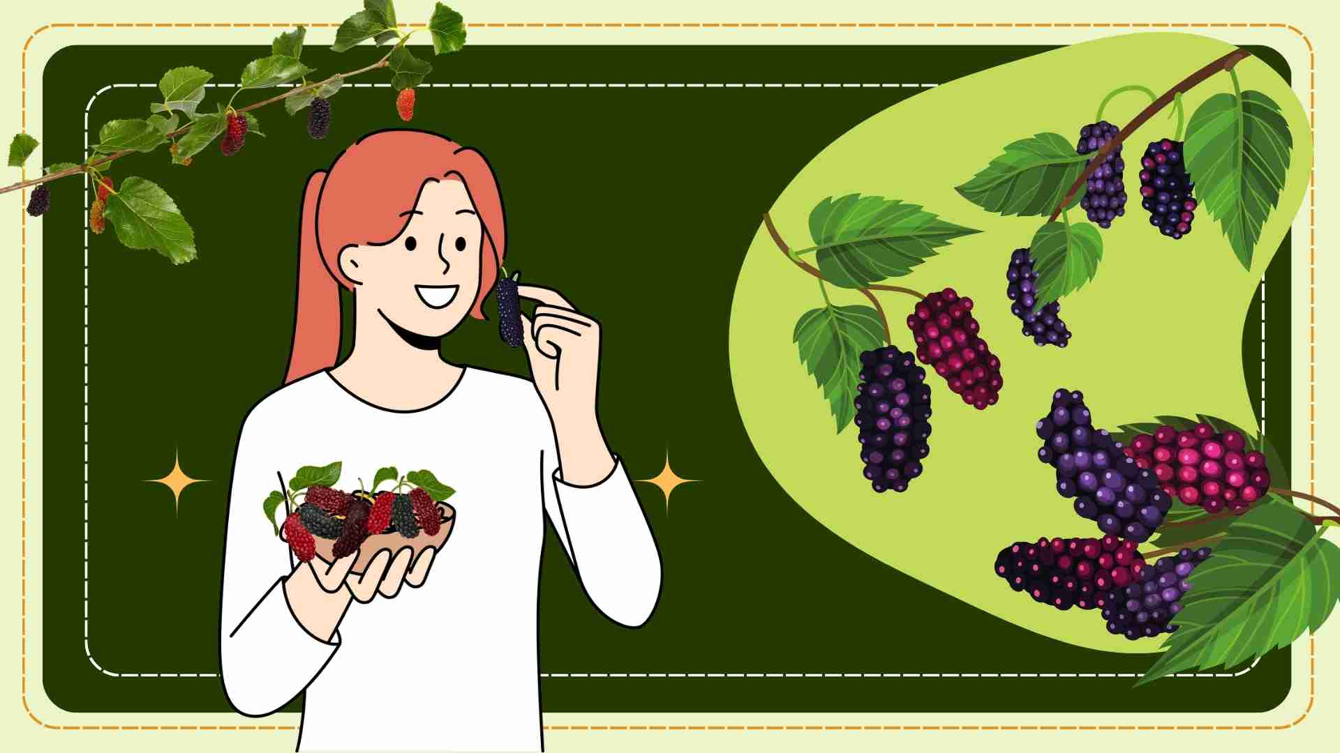 Envenenado con una planta que puede consumir tanto hojas como frutos