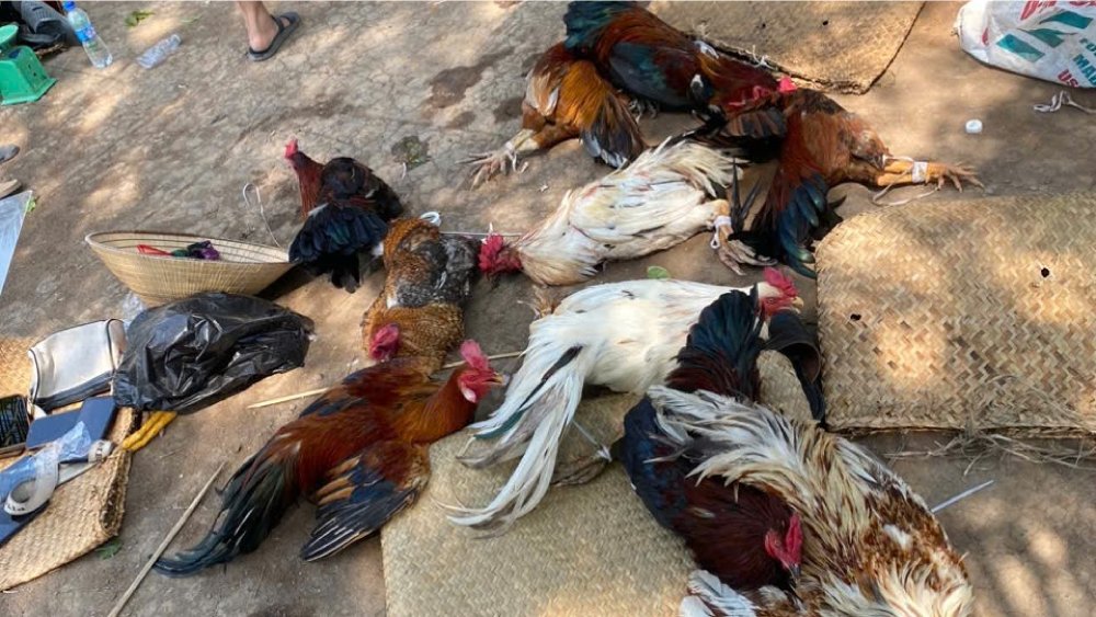 Evidence seized at the gambling den.