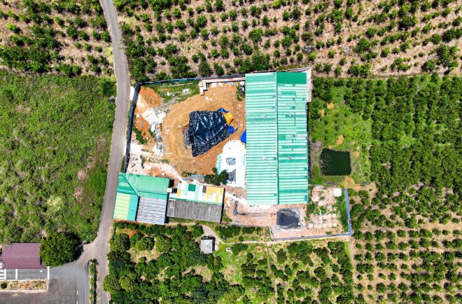 Ms. Nguyen Ngoc Que's pig farm. Photo: Lam Hong