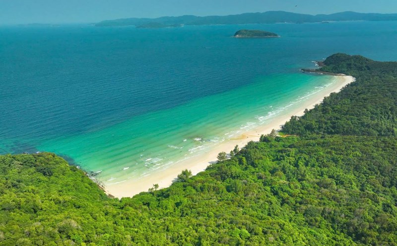 A green, white sand beach in Co To. Photo: Nguyen Van Thang