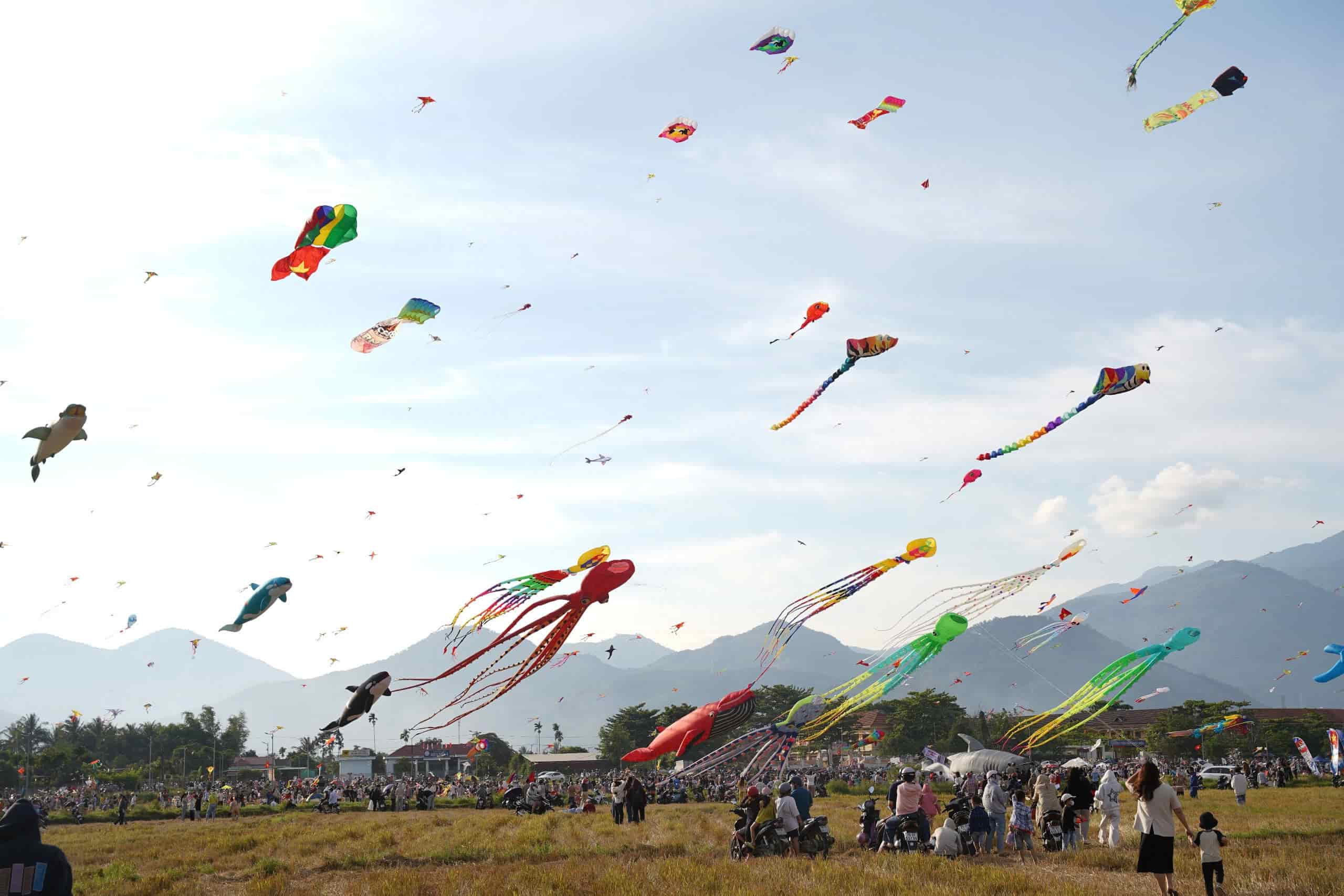 Ngay hoi tha dieu tren canh dong dia phuong duoc to chuc tai xa Dien Dien, huyen Dien Khanh, huong ung nhung ngay le lon cua dan toc. Anh: Huu Long