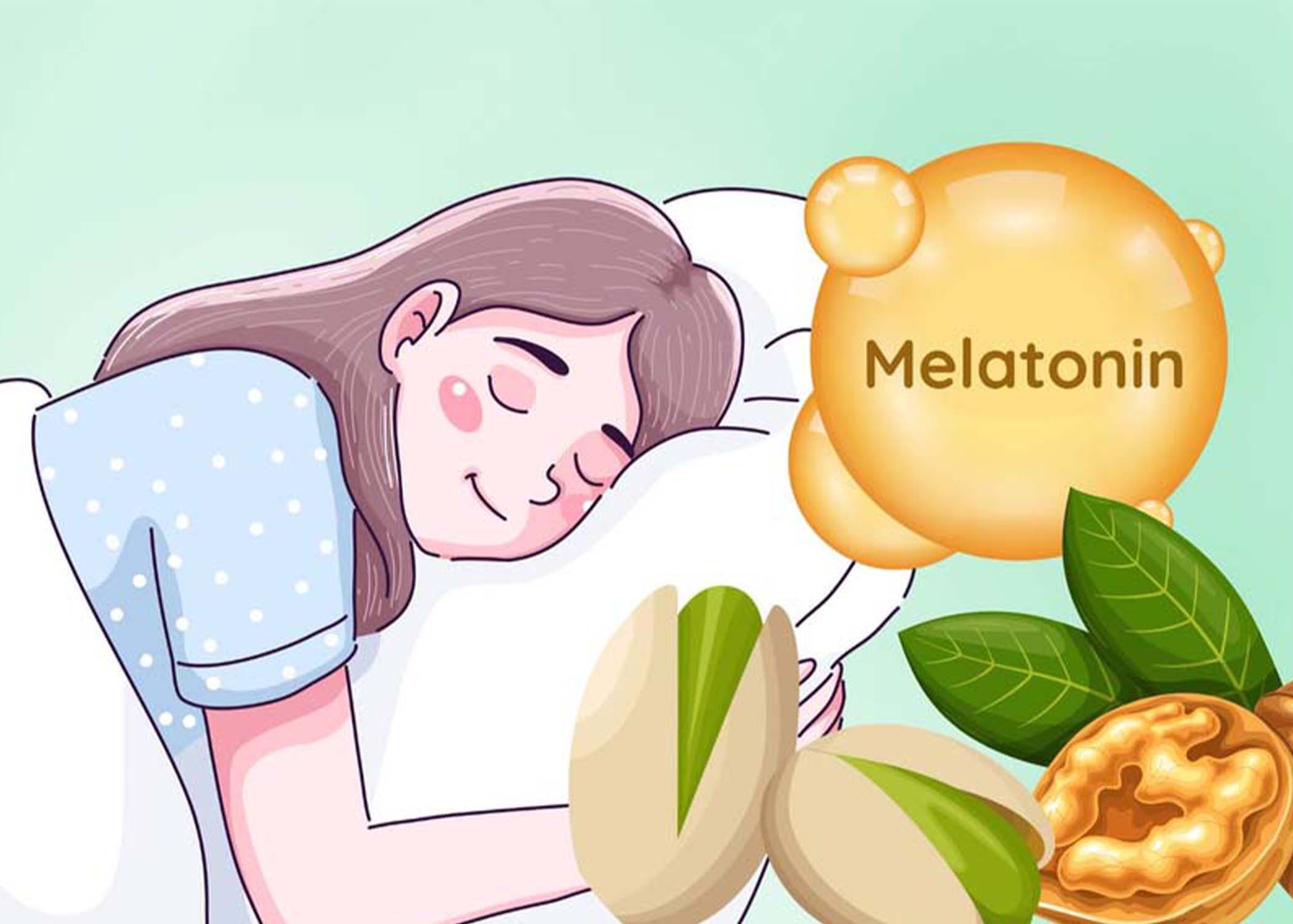 La melatonina, una hormona natural que ayuda a regular el ritmo biologico del cuerpo, se esta volviendo cada vez mas popular como una solucion para los problemas de sueño. El dibujo: