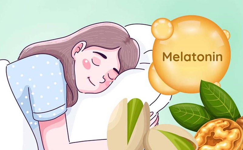 Melatonin is a natural hormone that helps regulate the body's circadian rhythm, becoming increasingly popular as a solution to sleep problems. Graphics: Dinh Dinh