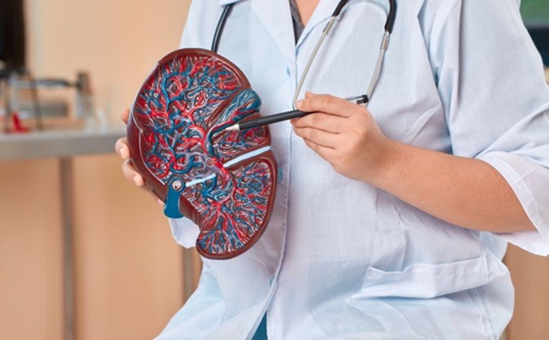 Patients can have regular health check-ups to check their liver health. Photo: Thu Duc Regional General Hospital