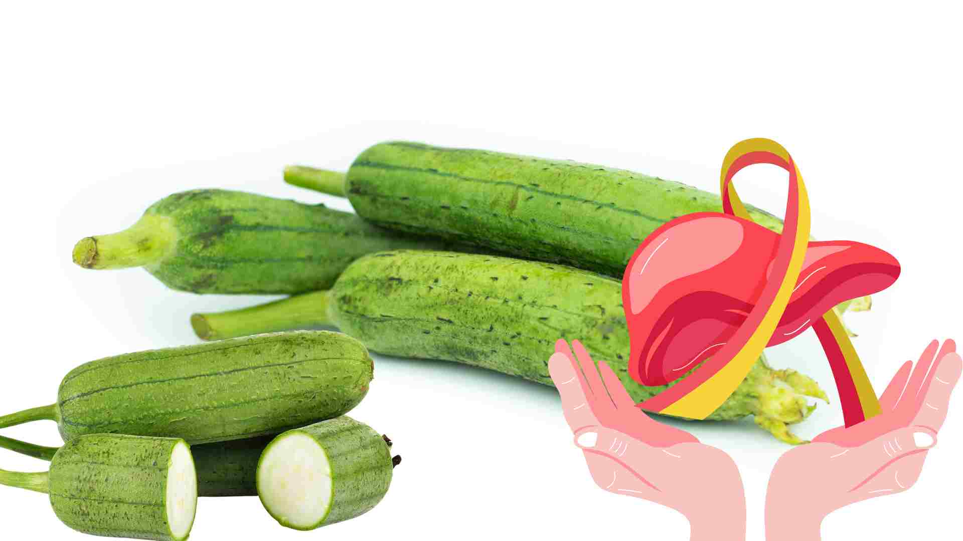 Regularly eating squash is very good for the liver. Graphics: Ha May