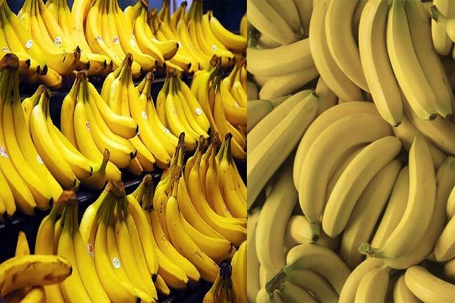 Bananas - a rustic fruit but bring many health benefits, including the effect of cleansing the intestines and skin. Graphics: Ha May.