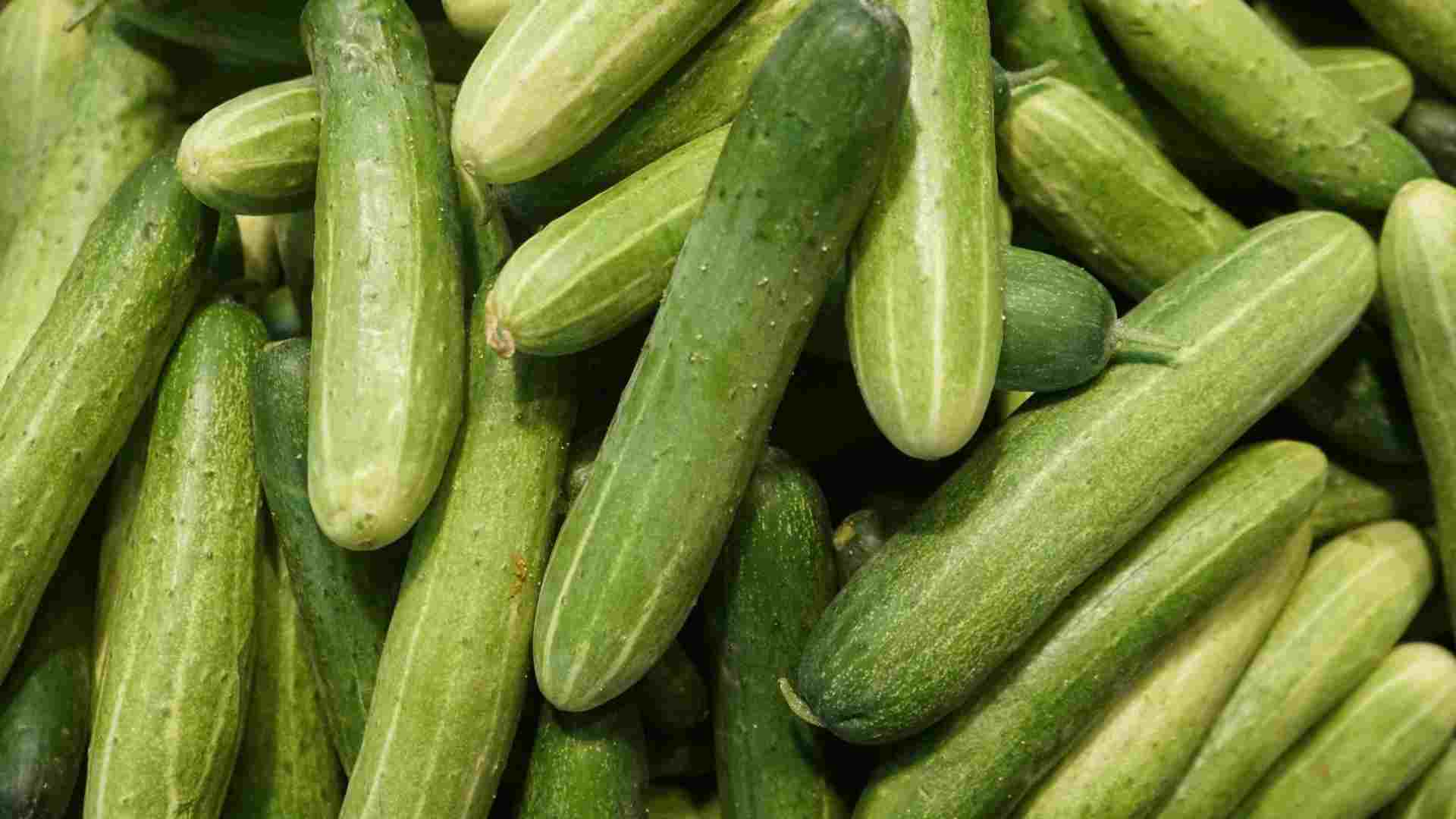 Cucumbers are a food that helps reduce the condition of rambutan stings. Photo: Thanh Thanh