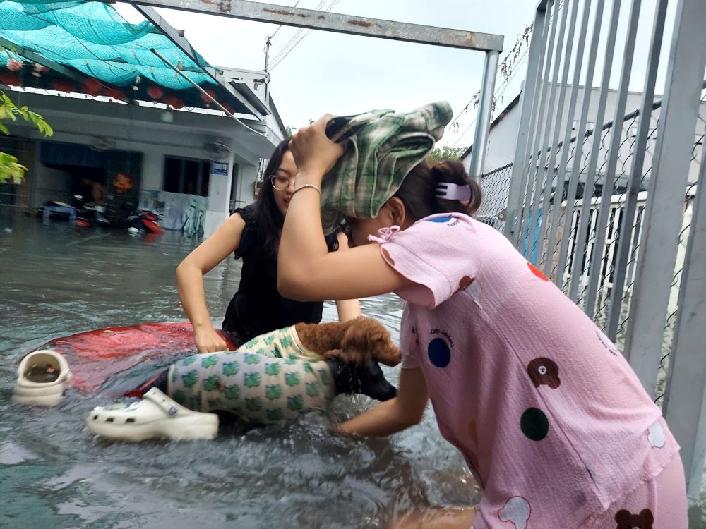 Nguoi dan giai cuu cho cung giua dong nuoc ngap sau. Anh: Minh Quan.