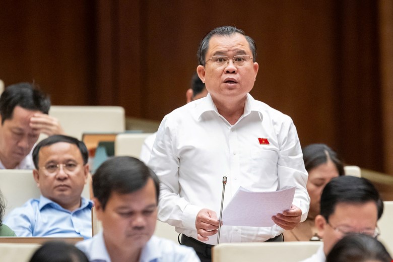 Dai bieu Nguyen Tam Hung - Doan DBQH tinh Ba Ria - Vung Tau