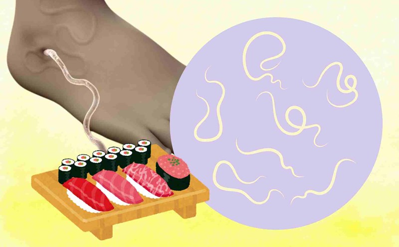 Dragon worms lurking in recycled food, many people do not know