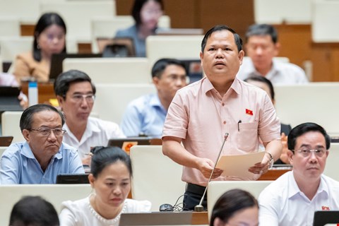 Đại biểu Nguyễn Duy Thanh cho rằng hàng loạt vụ sữa giả vừa qua là minh chứng cho việc lơ là công tác hậu kiểm. Ảnh: Quochoi