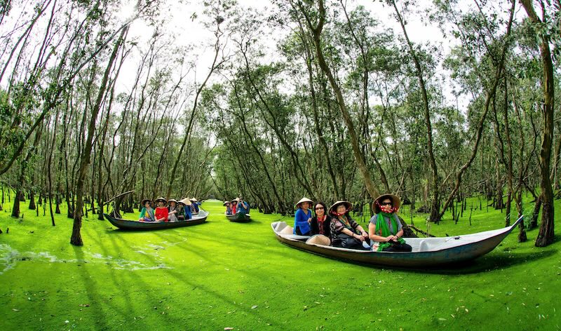 Vẻ đẹp Rừng tràm Trà Sư ở An Giang. Ảnh: Đức Phong.