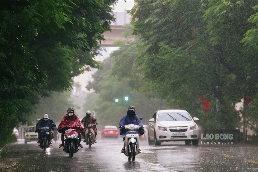 Du bao thoi tiet khong khi lanh manh hon, Bac Bo co noi troi chuyen lanh. Anh: The Ky