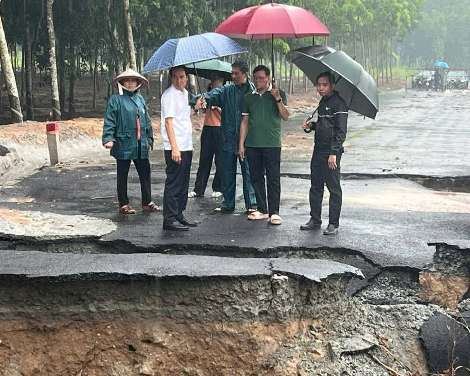 Los lideres de la ciudad de Ben Cat estan revisando el lugar del deslizamiento. Foto: Comisionado de la Iglesia y la Democracia de la Ciudad de Bencat
