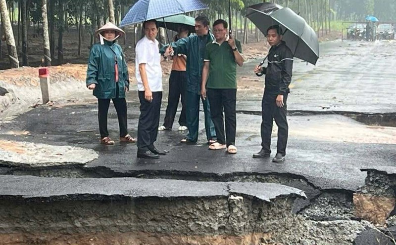 Ben Cat city leaders inspect the landslide site. Photo: Provided by the Propaganda and Mass Mobilization Committee of Ben Cat City Party Committee