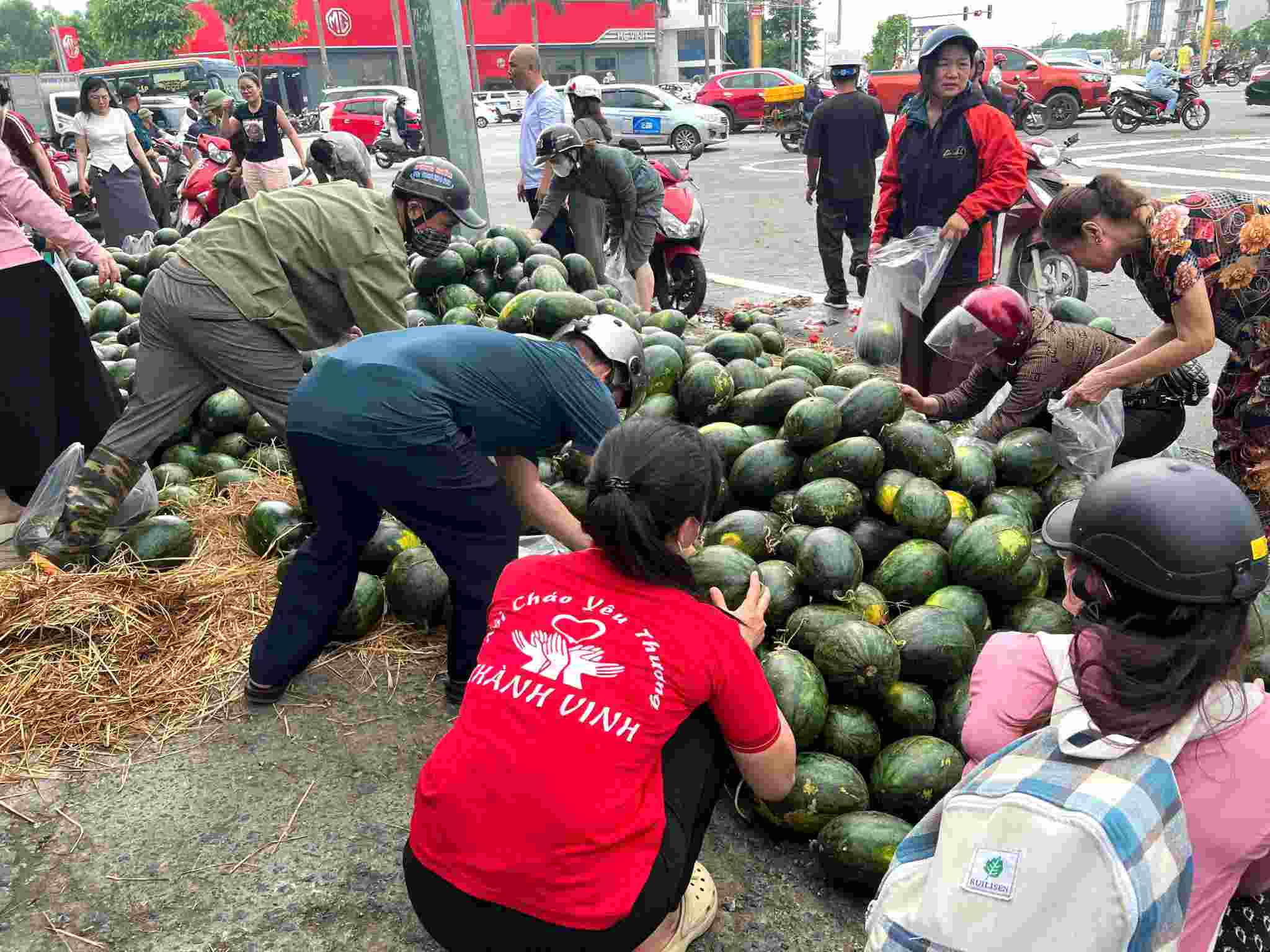 Hang chuc tan dua hau nhanh chong duoc giai cuu. Anh: Ngoc Anh