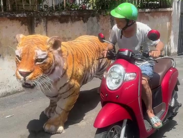 Nguoi dan thich thu chup anh luu niem voi con ho mo hinh. Anh: Dong Hoang