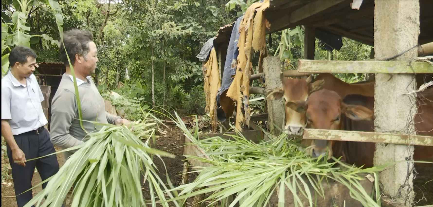 Officials of Krong Nang district, Dak Lak province instruct ethnic minorities to take care of livestock and develop the economy. Photo: Bao Trung