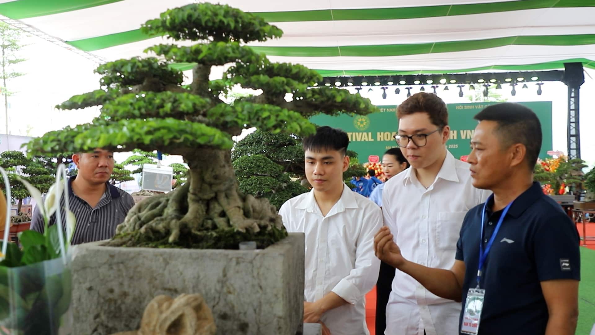 La industria floral de Vietnam afirma su papel en la agricultura moderna