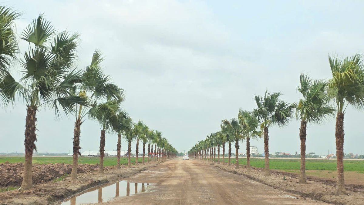 Duong dan vao le