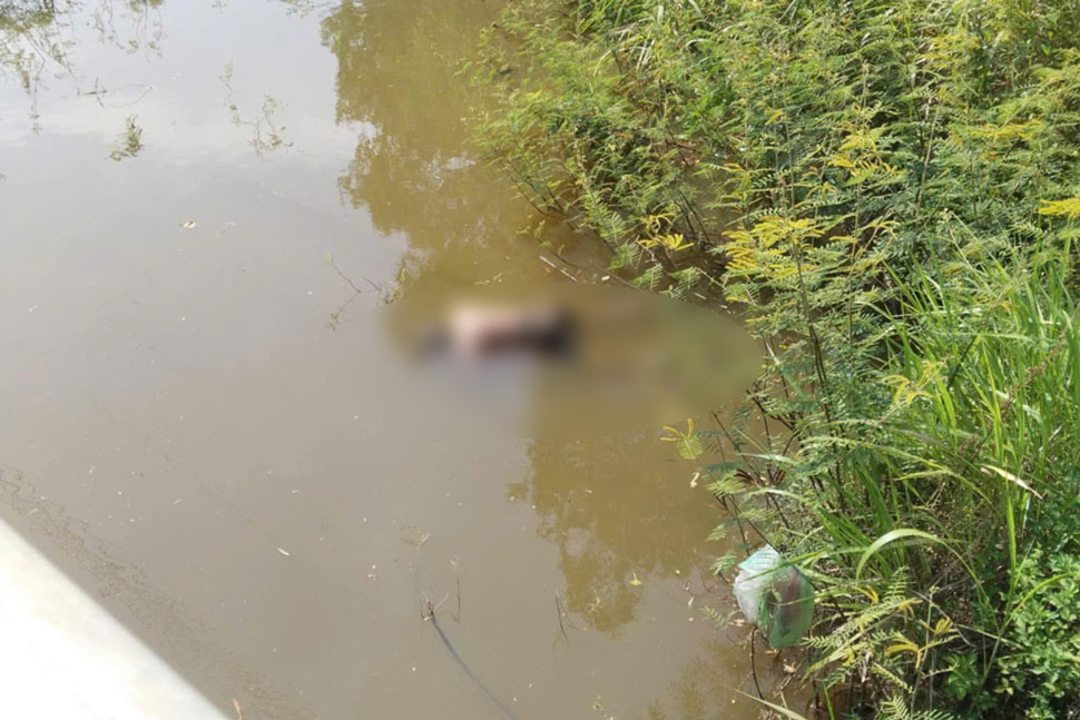 The body is decomposing in the Cau Giay stream area (My Chau commune, Phu My district, Binh Dinh). Photo: Phong Van