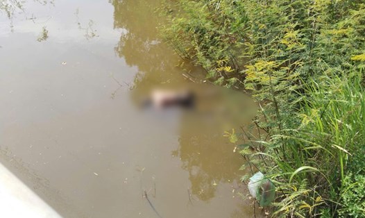 Thi thể đang phân hủy tại khu vực suối Cầu Giấy (xã Mỹ Châu, huyện Phù Mỹ, Bình Định). Ảnh: Phong Văn