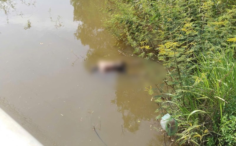The body is decomposing in the Cau Giay stream area (My Chau commune, Phu My district, Binh Dinh). Photo: Phong Van