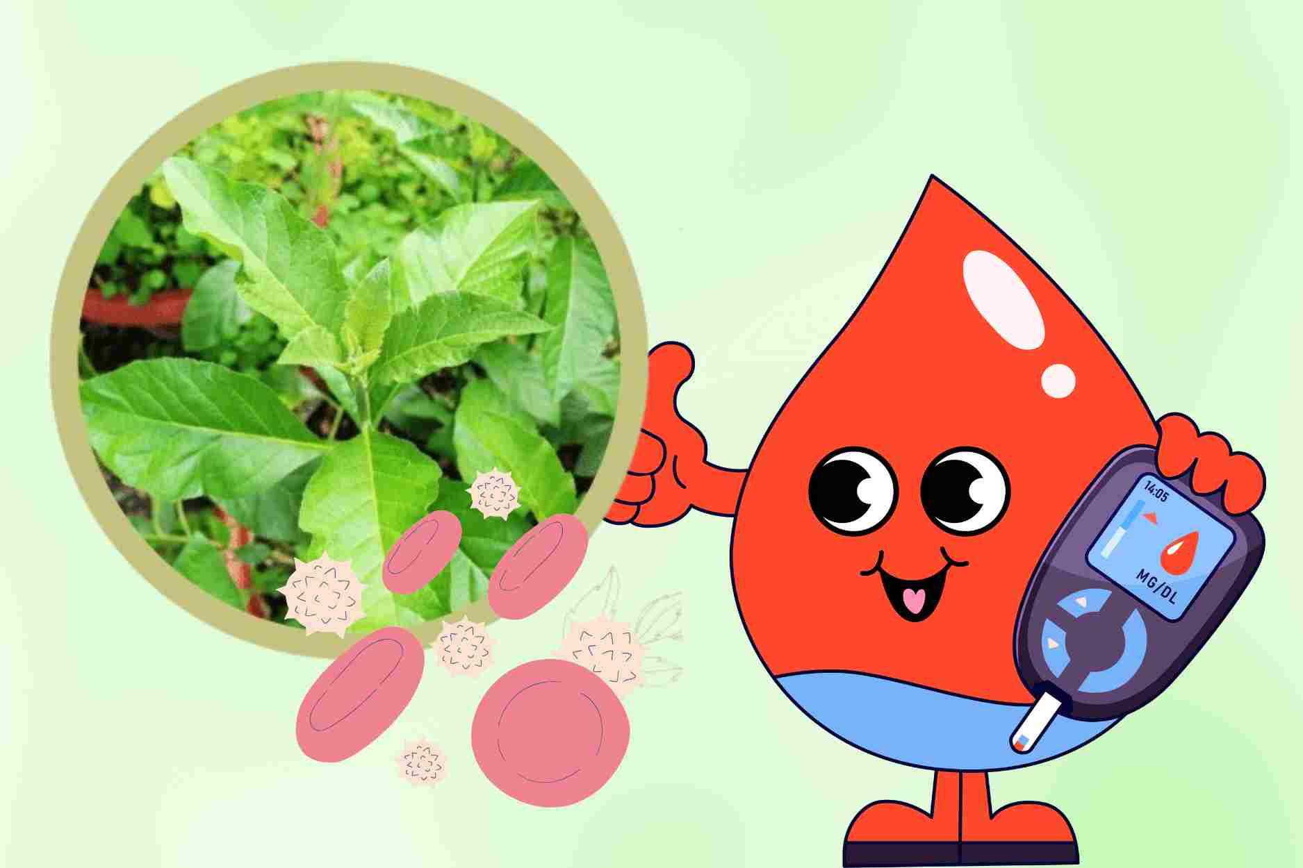 Controlar la glucosa de forma natural gracias al sabor amargo de la medicina tradicional