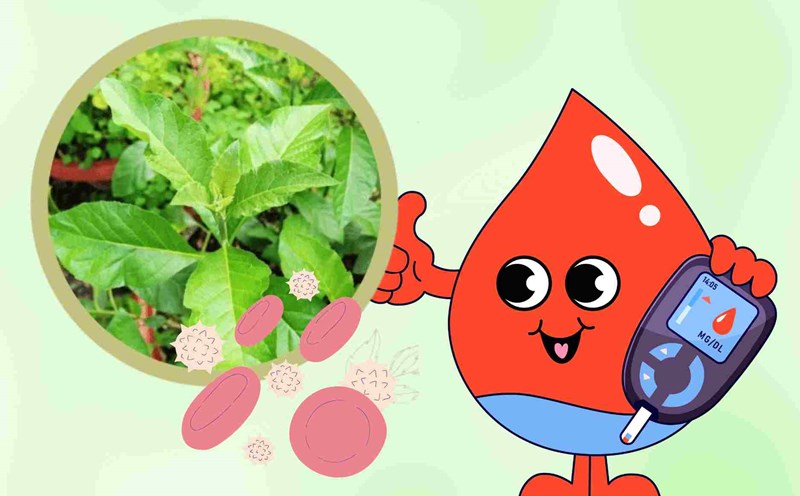 Control blood sugar naturally thanks to bitter taste in traditional medicine