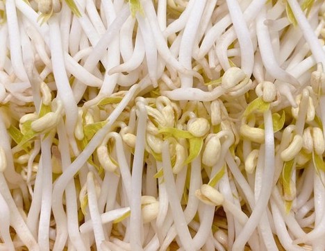 Eat bean sprouts properly to effectively supplement calcium. Photo: Kieu Vu