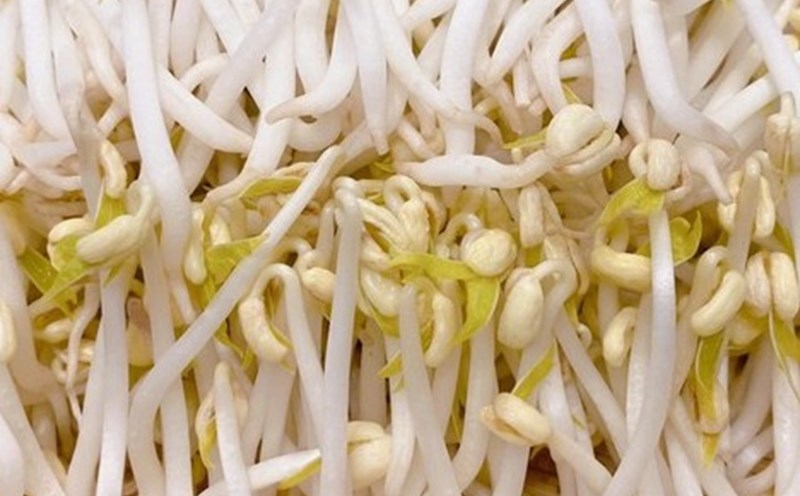 Eat bean sprouts properly to effectively supplement calcium. Photo: Kieu Vu