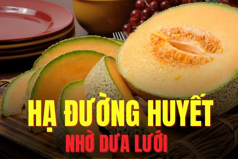 El uso racional de la melena puede ayudar a reducir la glucosa de manera eficaz. El dibujo: Mi te