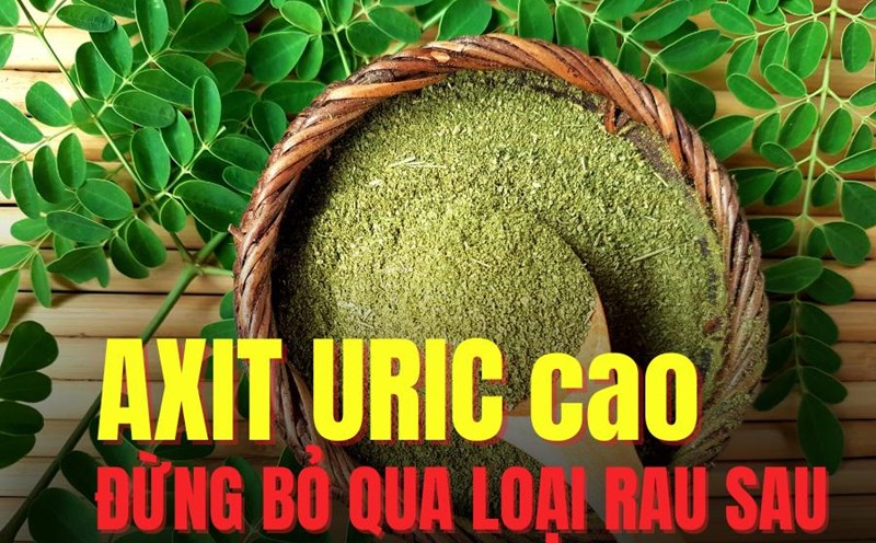 Moringa helps lower uric acid effectively. Graphics: Tra My
