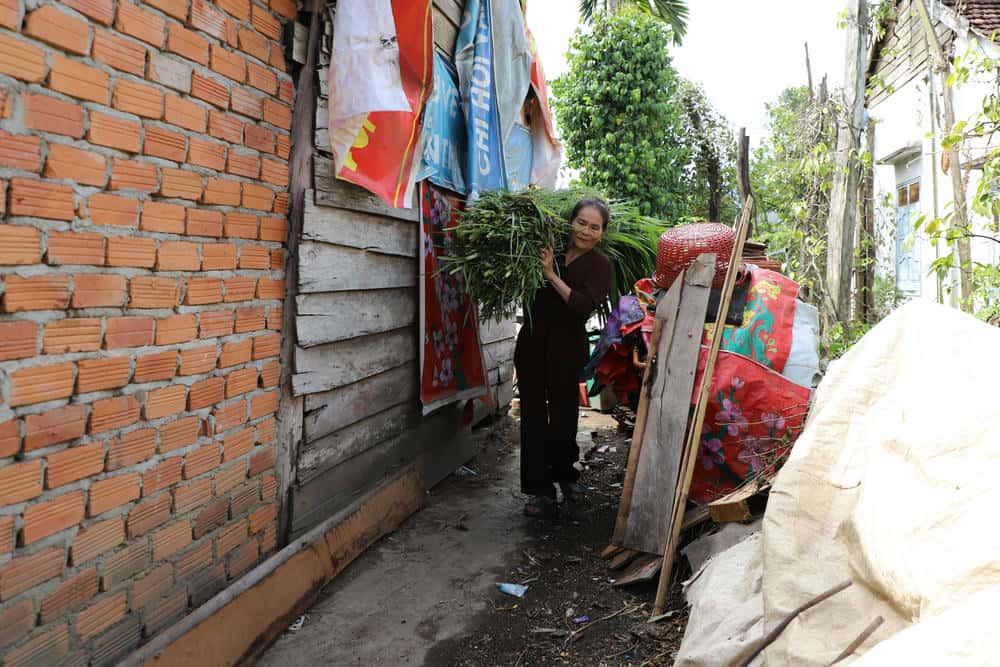 Là hộ nghèo, gia đình bà Nguyễn Thị Huân được hỗ trợ bò sinh sản và hỗ trợ xây dựng nhà mới. Ảnh: Bảo Lâm 