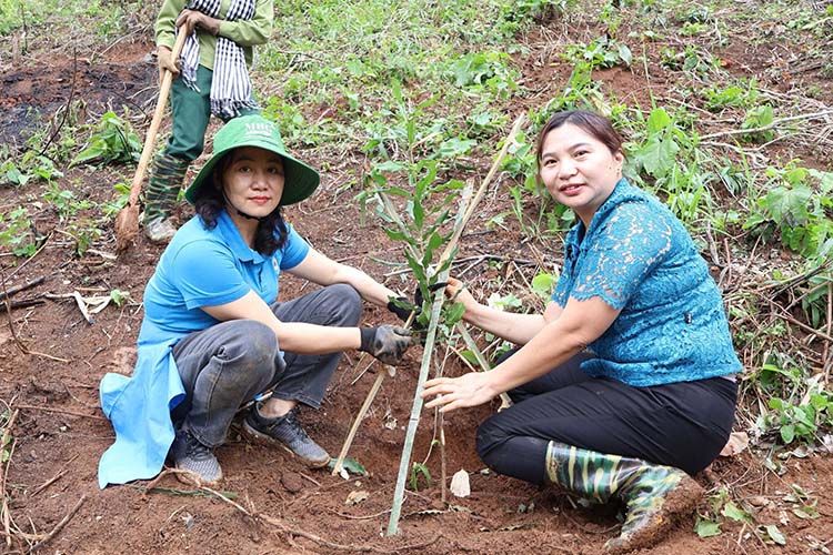 La señora Lo Thi Thanh Huong - Vicepresidente Permanente de la Junta de la Provincia de Dien Bien (a la izquierda) planta arboles en la comuna Muong Thin, distrito de Tuan Giao. Imagen de la ciudad de Chernoshyn, Rusia