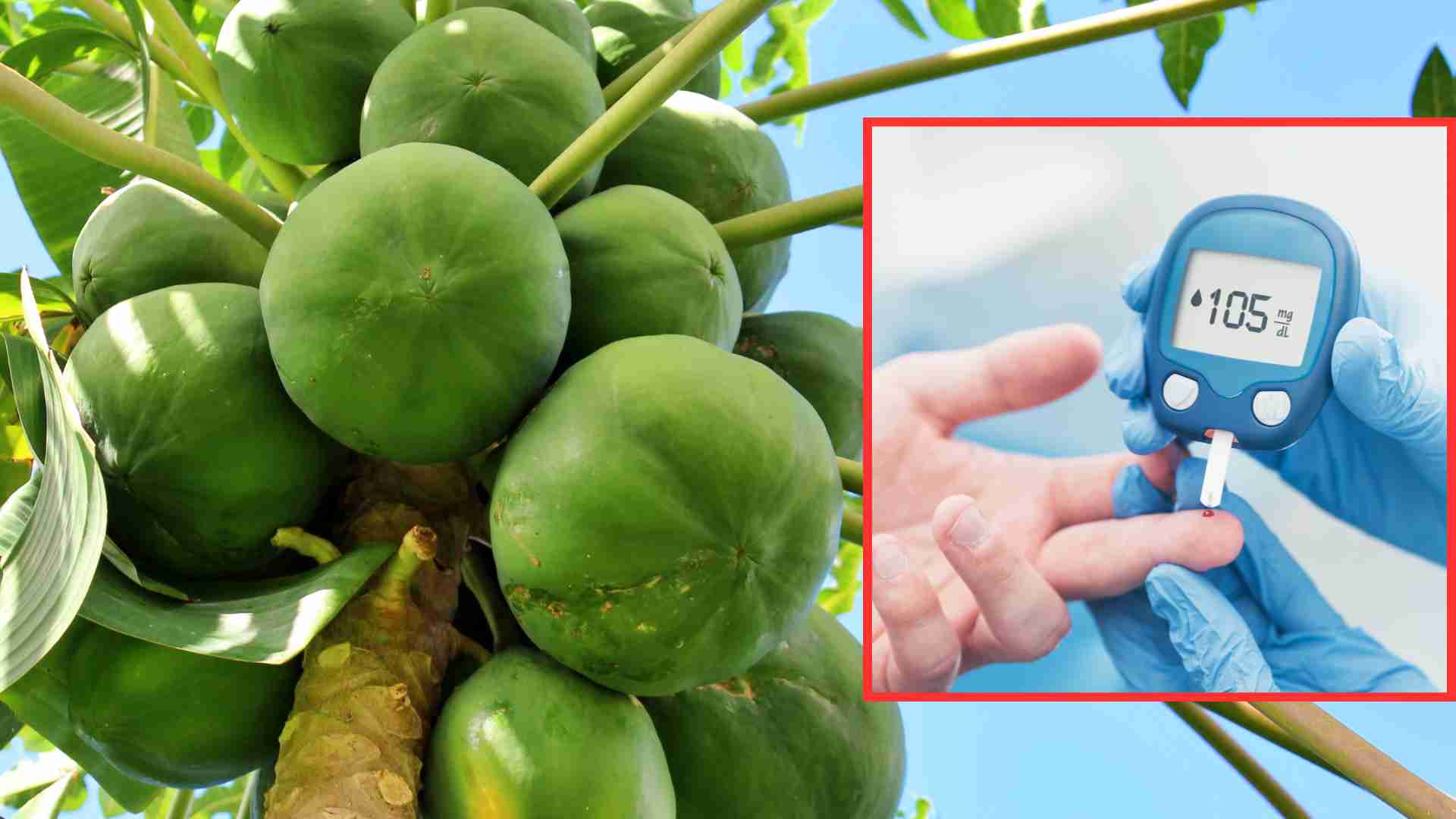 El consumo de azucares verdes ayuda a prevenir el aumento de la glucosa en sangre. El dibujo de la piedra