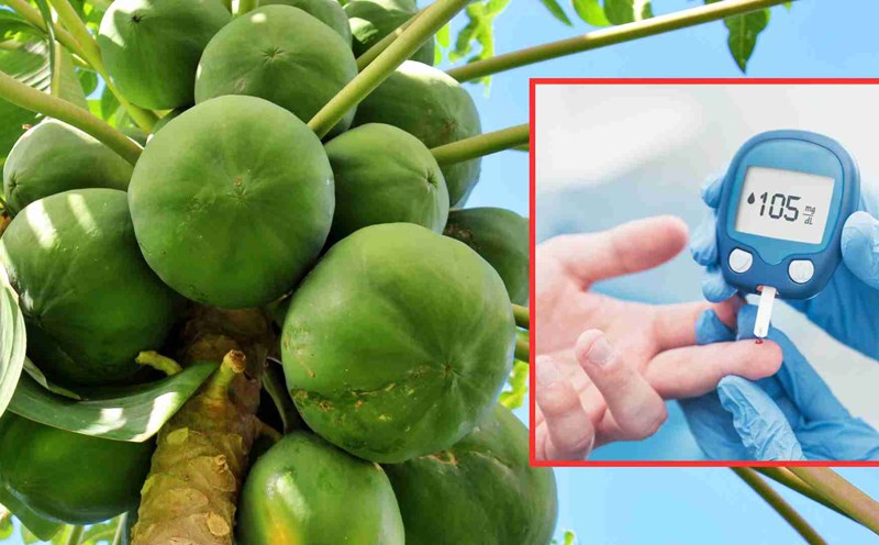 Eating green papaya helps prevent blood sugar spikes. Graphics: Thach Lam