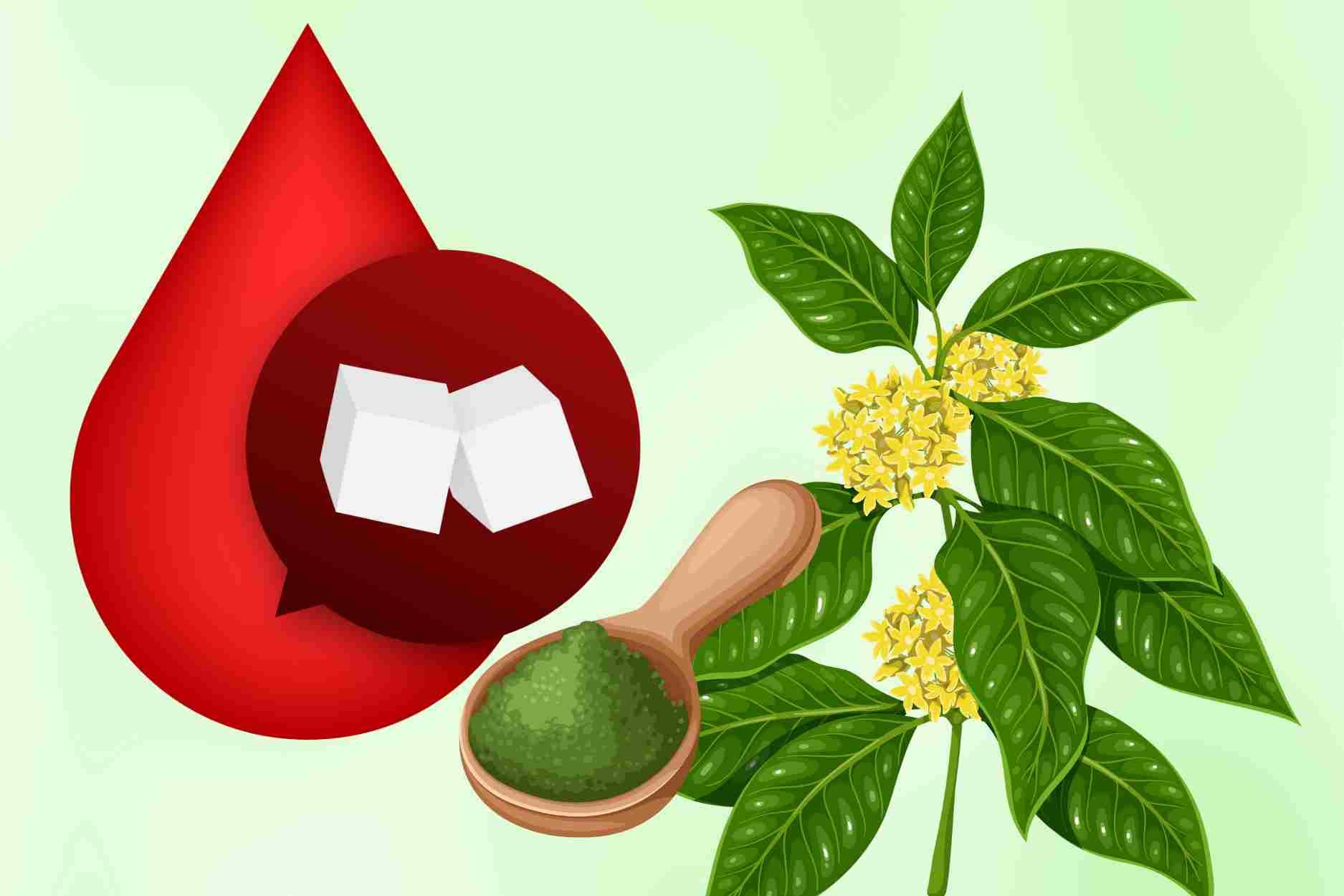 La administracion de medicamentos esterilizados ayuda a inhibir la absorcion de azucar y a controlar eficazmente la glucosa