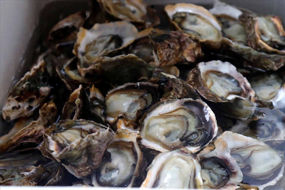Las calabazas de cocina son dos ingredientes muy apreciados por su capacidad de barrer el calor, desintoxicar el higado. Imagen de la ciudad de Hue