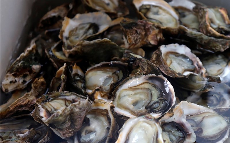 Beetroot-based oysters are two ingredients that are highly appreciated for their ability to cool and detoxify the liver. Photo: Huu Lieu