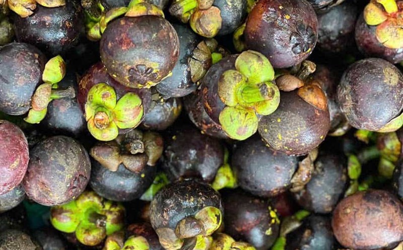 Eating bamboo shoots properly can help control blood sugar. Photo: Quang Minh.